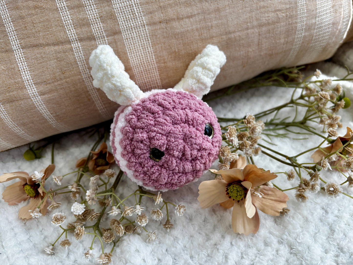 Honey the Bee