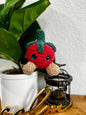 Strawberry Buddies